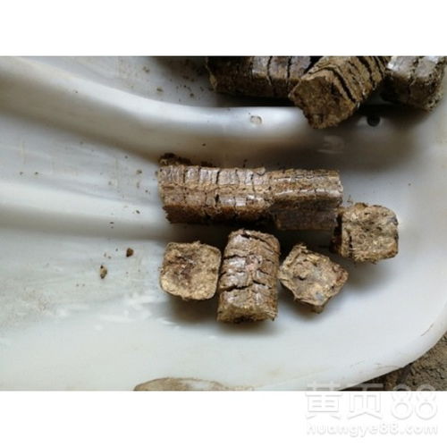 【郑州秸秆燃料一吨环保产品】- 