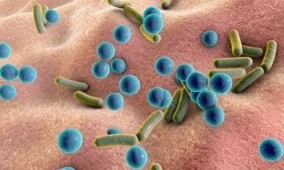 了解皮肤微生物群的重要性,以及5个保护微生物群的方法
