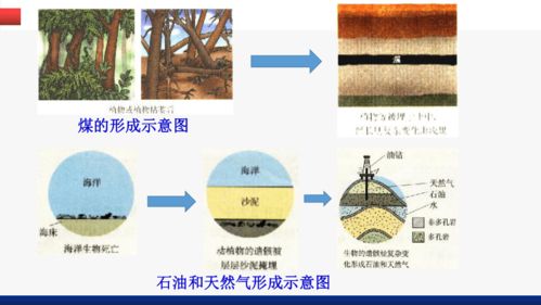 第七单元课题2燃料的合理利用与开发第1课时课件