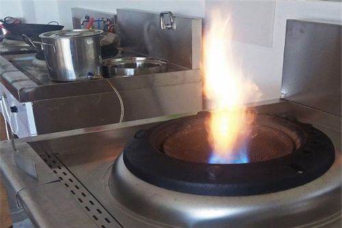 植物油燃料安全系数高吗,植物油燃料灶具现成熟了吗